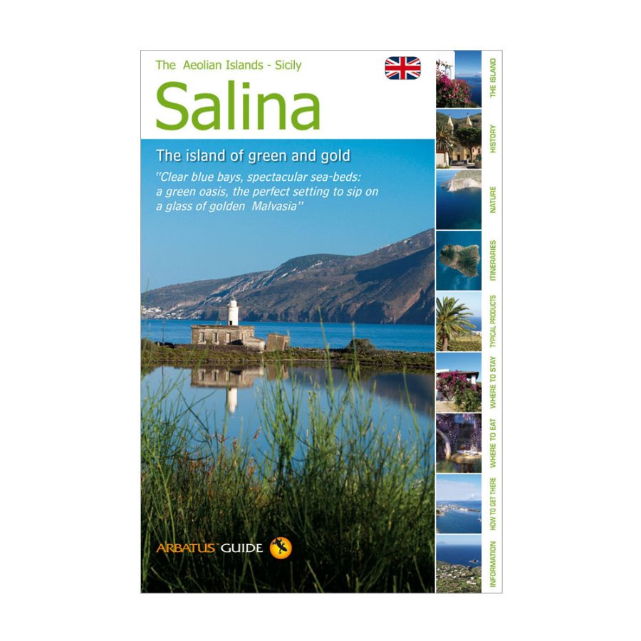 Guida isole Eolie - Salina inglese